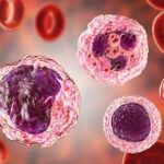 Enhancing Cell Morphology-Based Analysis | The Scientist Magazine®