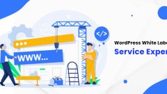 Unlock Your Expertise with Thewpninjas: White Label WordPress Maintenance Services