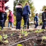 Education Tour in Kolkata