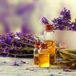 Exploring the Essence of Essential Oils