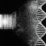 DNA Barcoding: Species Detection and High Throughput Assays