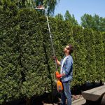 Expert Stump Grinding in Abilene Fast & Affordable