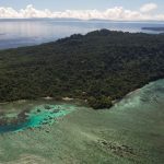 Why Is Tetepare the South Pacific’s Largest Uninhabited Island?
