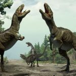 From Dinosaur Scratches to Insects in Amber, How Paleontologists Uncover Prehistoric Courtship