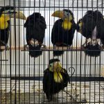 Once Smuggled Animals Are Rescued, Law Enforcement Officers Call Her