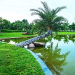 Millgrove Sector 76 Gurgaon | Plots For sale, Price image